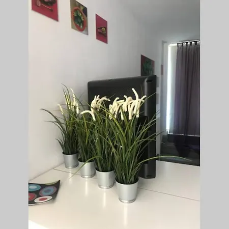 ático Con Vistas Y Gran Terraza