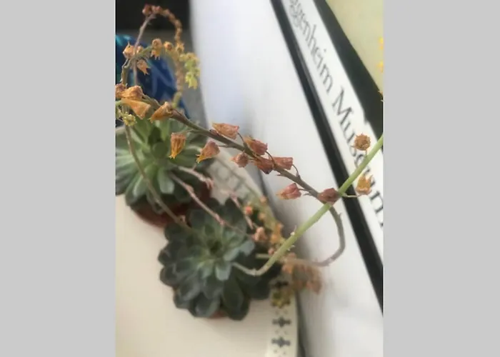 Apartment Atico Con Vistas Y Gran Terraza Guia de Isora (Tenerife)