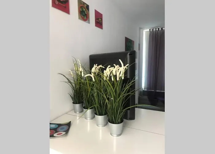 Atico Con Vistas Y Gran Terraza